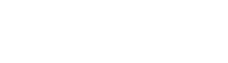 Bruder Footer Logo